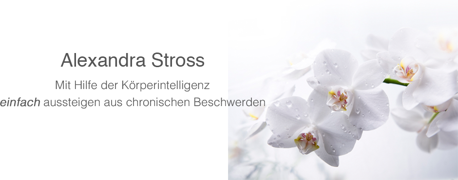 Alexandra Ross aufgerissen und durch gevögelt Alexandra Ross aufgerissen und durch gevögelt